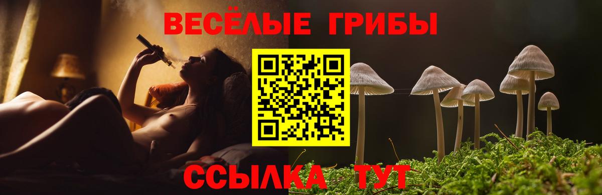 Псилоцибиновые грибы Psilocybine cubensis Сунжа